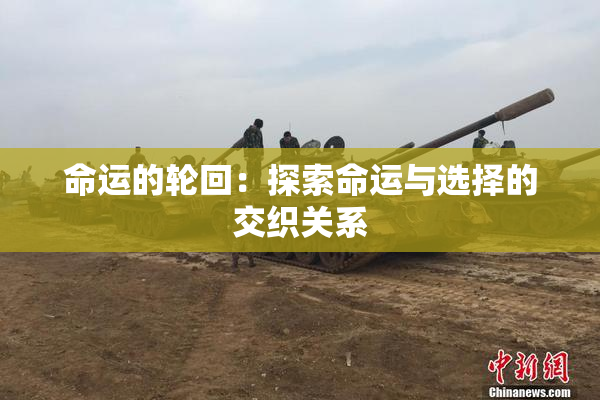 命运的轮回：探索命运与选择的交织关系