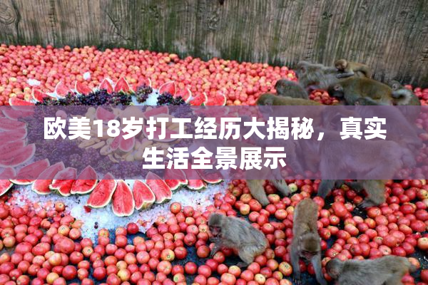 欧美18岁打工经历大揭秘，真实生活全景展示