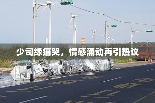 少司缘痛哭，情感涌动再引热议