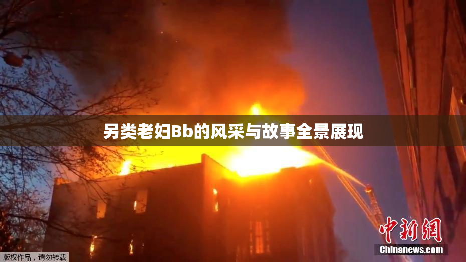 另类老妇Bb的风采与故事全景展现