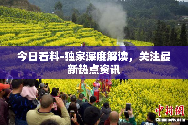 今日看料-独家深度解读，关注最新热点资讯