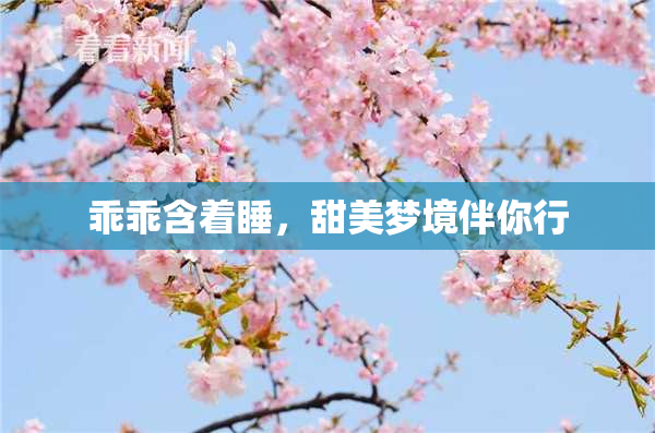乖乖含着睡，甜美梦境伴你行