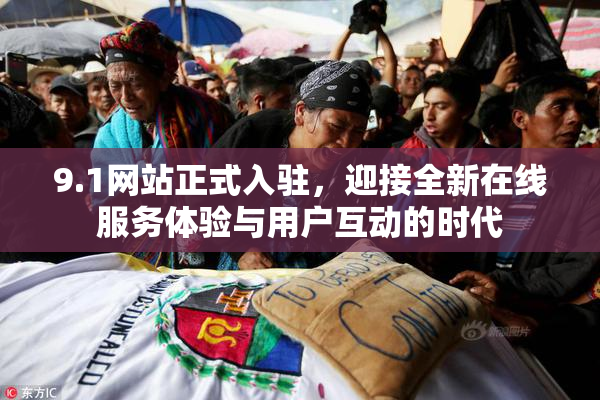 9.1网站正式入驻，迎接全新在线服务体验与用户互动的时代