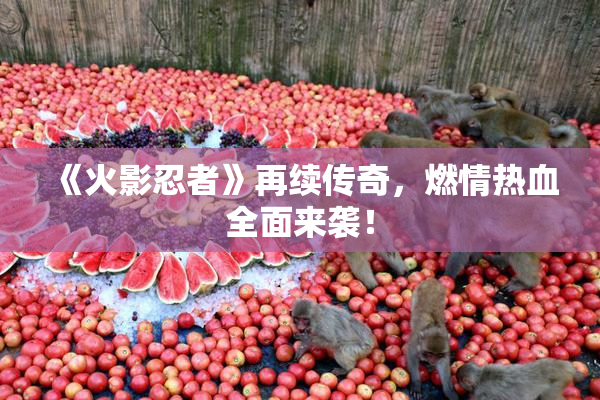《火影忍者》再续传奇，燃情热血全面来袭！