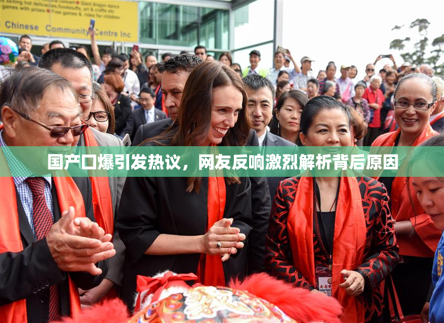 国产囗爆引发热议，网友反响激烈解析背后原因