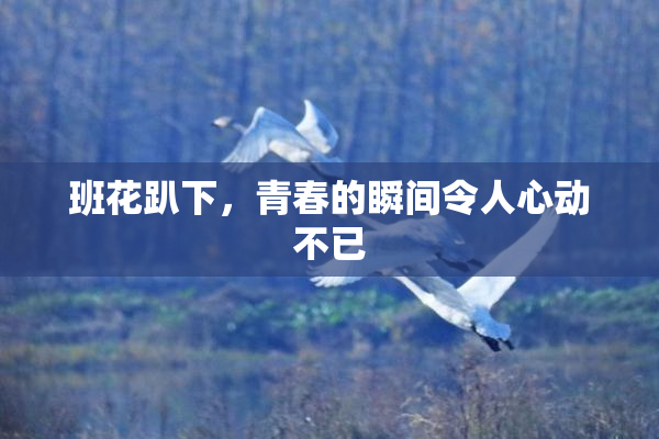 班花趴下，青春的瞬间令人心动不已