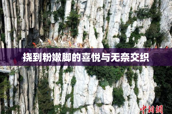 挠到粉嫩脚的喜悦与无奈交织