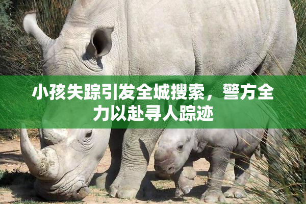 小孩失踪引发全城搜索，警方全力以赴寻人踪迹