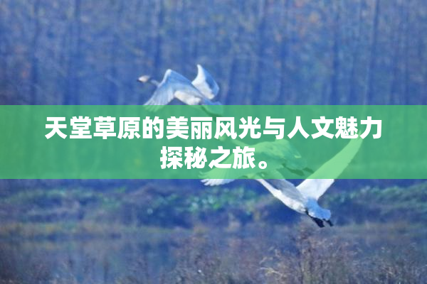 天堂草原的美丽风光与人文魅力探秘之旅。