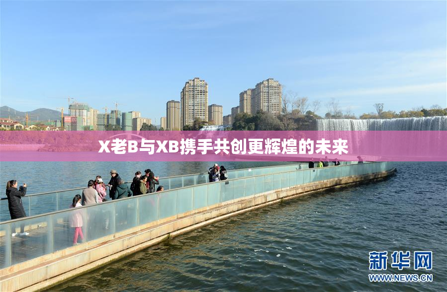 X老B与XB携手共创更辉煌的未来
