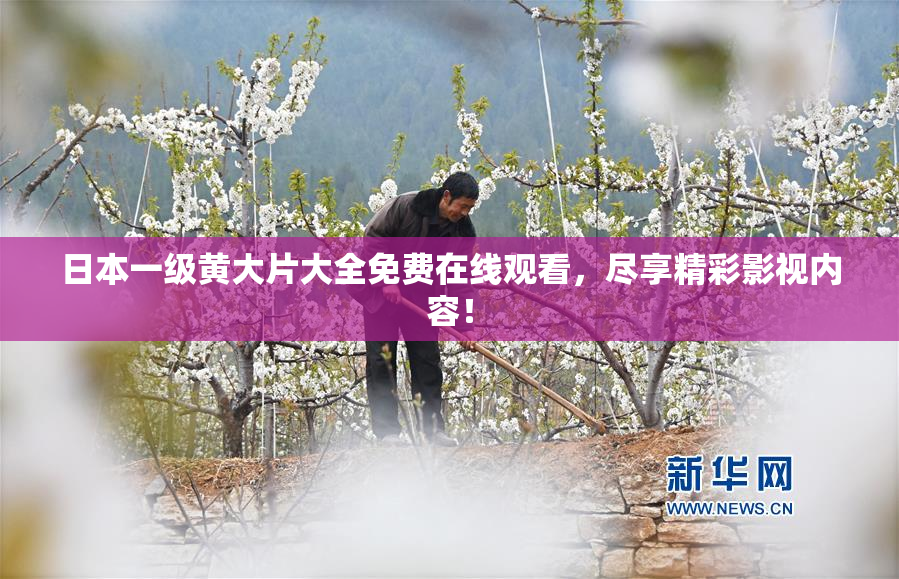 日本一级黄大片大全免费在线观看，尽享精彩影视内容！