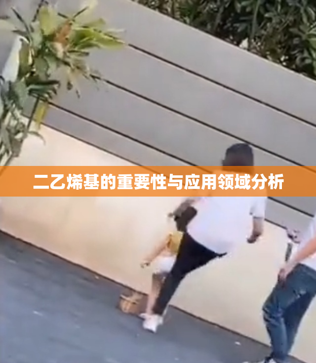 二乙烯基的重要性与应用领域分析