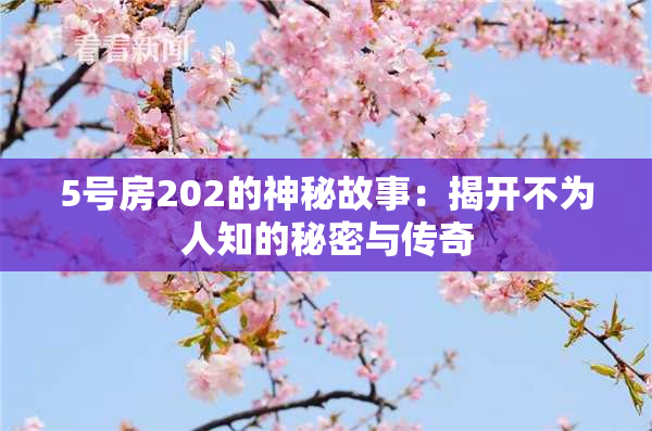 5号房202的神秘故事：揭开不为人知的秘密与传奇