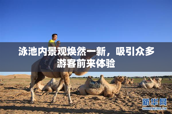 泳池内景观焕然一新，吸引众多游客前来体验