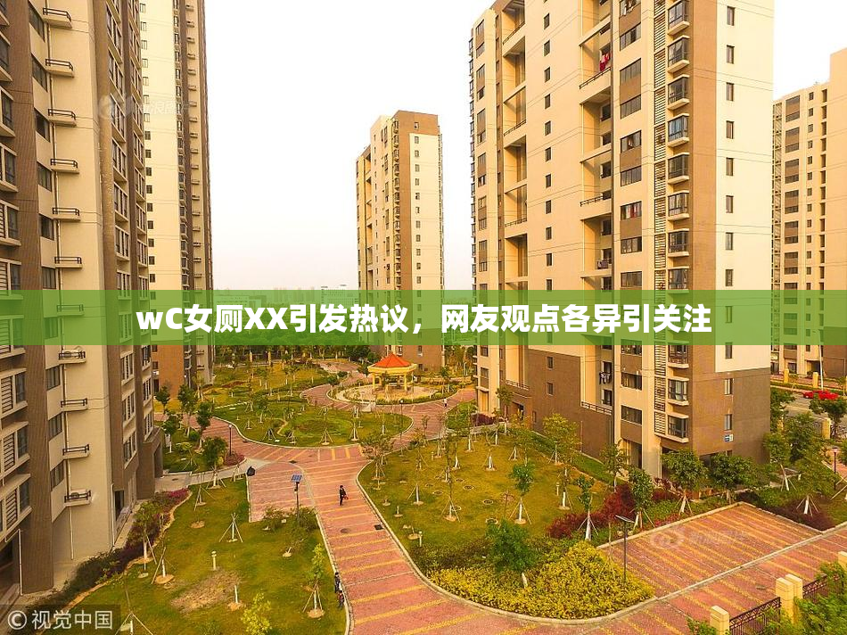 wC女厕XX引发热议，网友观点各异引关注
