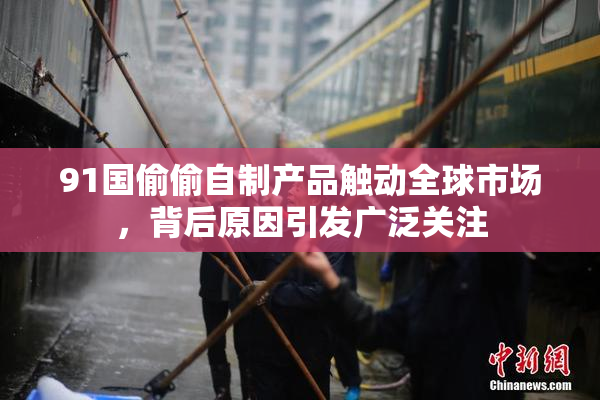 91国偷偷自制产品触动全球市场，背后原因引发广泛关注