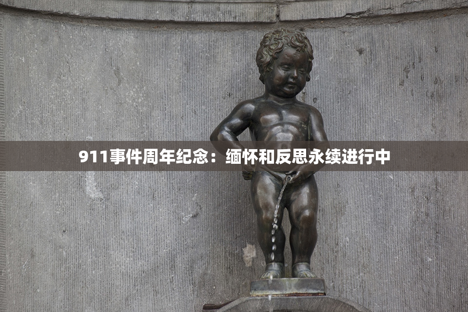 911事件周年纪念：缅怀和反思永续进行中
