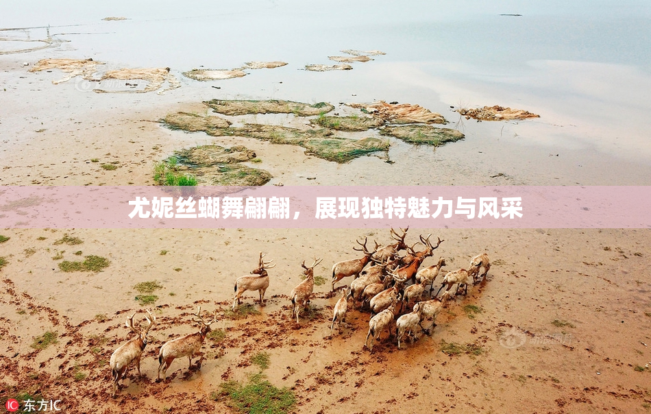 尤妮丝蝴舞翩翩，展现独特魅力与风采
