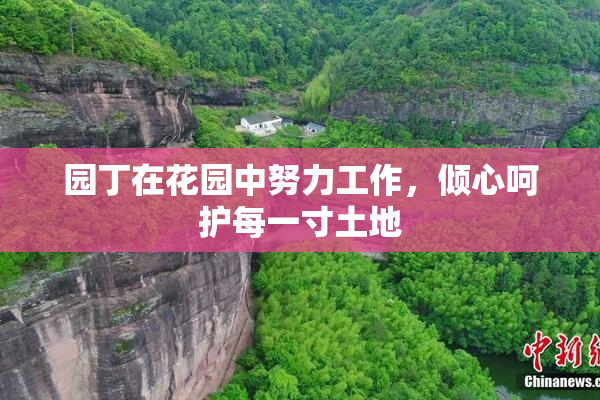 园丁在花园中努力工作，倾心呵护每一寸土地