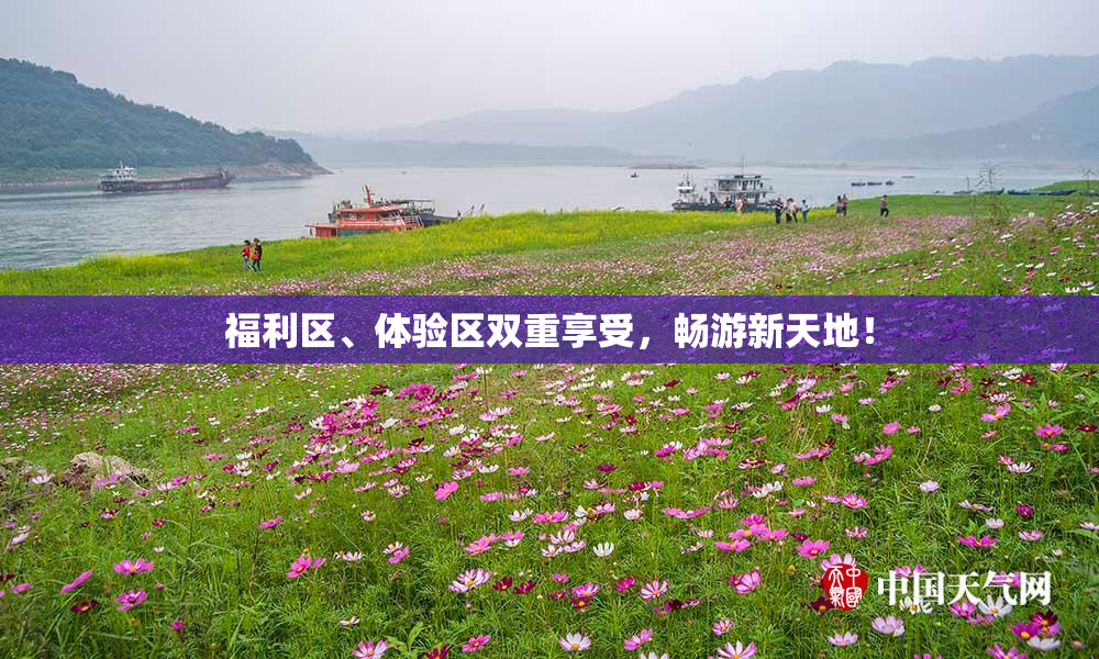 福利区、体验区双重享受，畅游新天地！