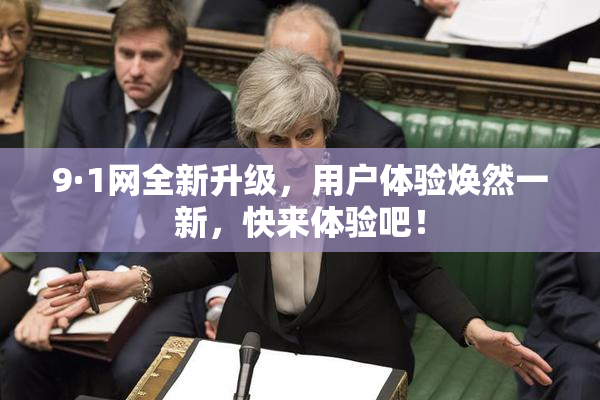 9·1网全新升级，用户体验焕然一新，快来体验吧！