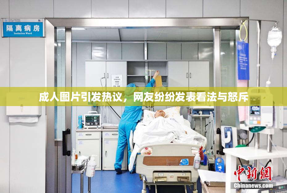 成人图片引发热议，网友纷纷发表看法与怒斥