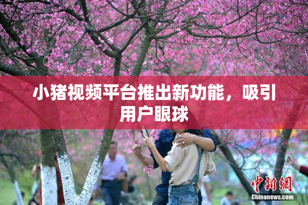 小猪视频平台推出新功能，吸引用户眼球
