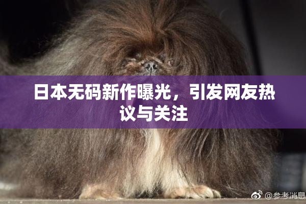 日本无码新作曝光，引发网友热议与关注