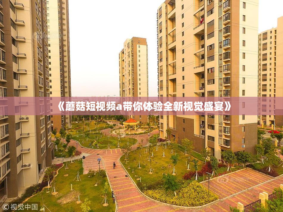 《蘑菇短视频a带你体验全新视觉盛宴》