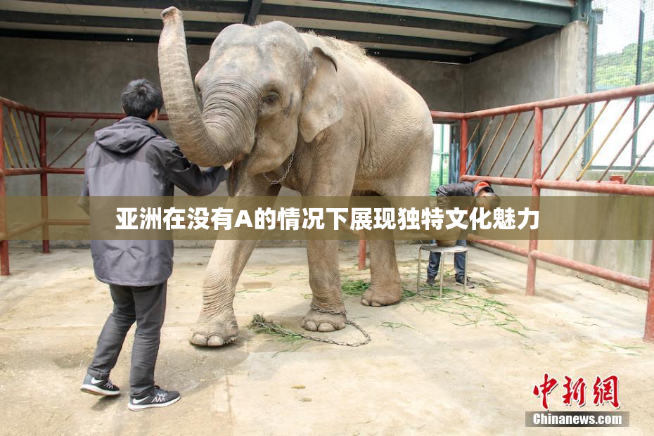 亚洲在没有A的情况下展现独特文化魅力