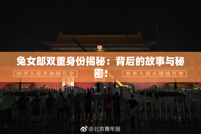 兔女郎双重身份揭秘：背后的故事与秘密！