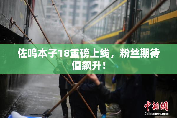 佐鸣本子18重磅上线，粉丝期待值飙升！