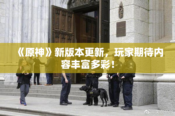 《原神》新版本更新，玩家期待内容丰富多彩！