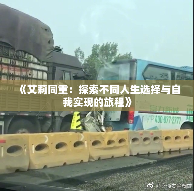 《艾莉同重：探索不同人生选择与自我实现的旅程》