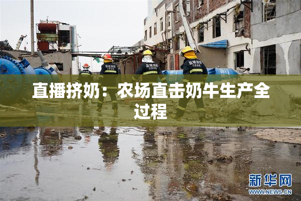 直播挤奶：农场直击奶牛生产全过程