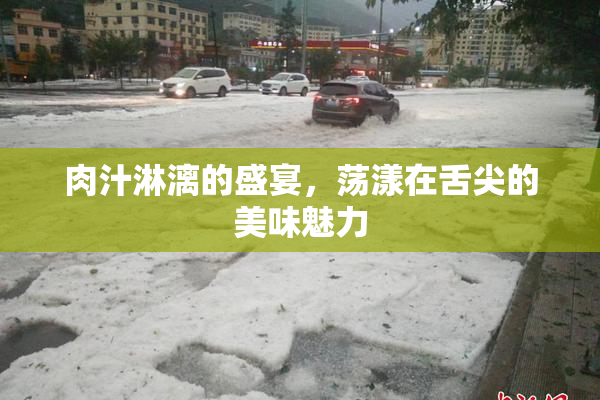肉汁淋漓的盛宴，荡漾在舌尖的美味魅力