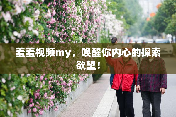 羞羞视频my，唤醒你内心的探索欲望！