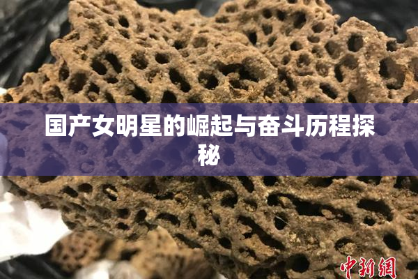 国产女明星的崛起与奋斗历程探秘