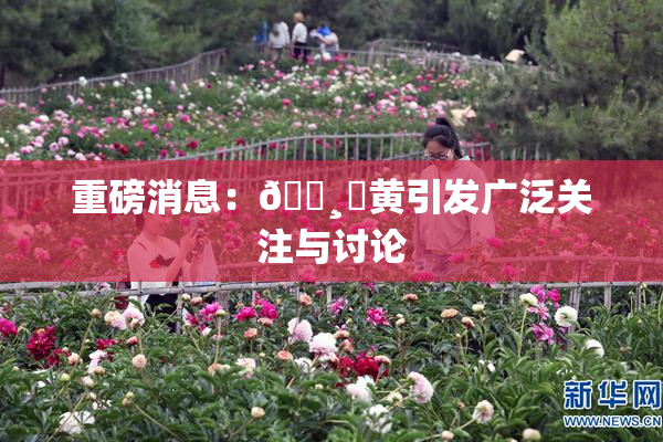 重磅消息：🌸‌黄引发广泛关注与讨论