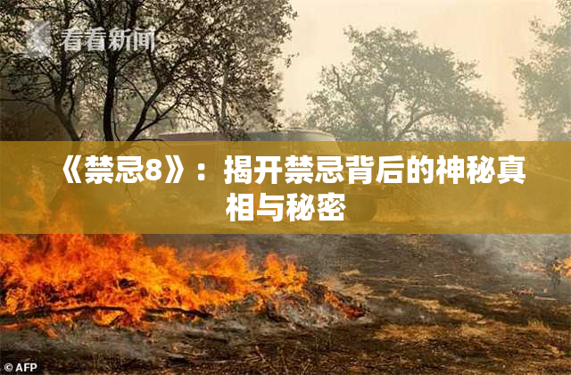 《禁忌8》：揭开禁忌背后的神秘真相与秘密