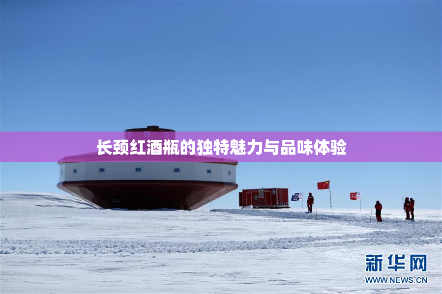 长颈红酒瓶的独特魅力与品味体验