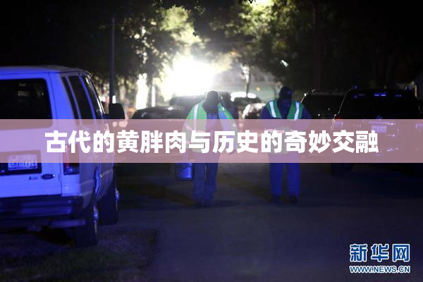 古代的黄胖肉与历史的奇妙交融