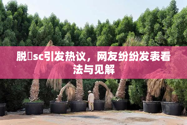 脱糞sc引发热议，网友纷纷发表看法与见解