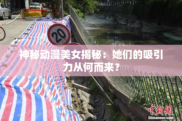 神秘动漫美女揭秘：她们的吸引力从何而来？