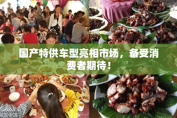 国产特供车型亮相市场，备受消费者期待！