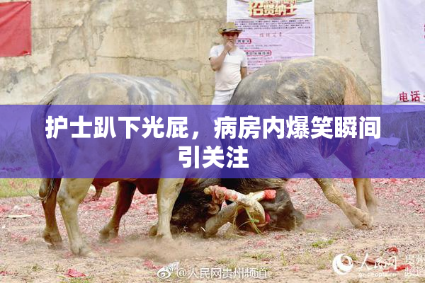 护士趴下光屁，病房内爆笑瞬间引关注