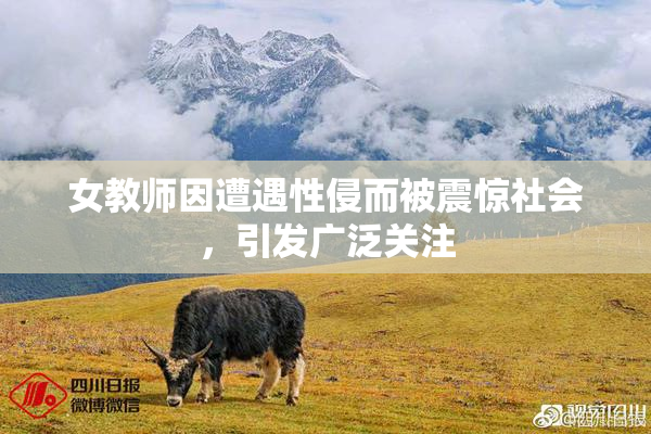 女教师因遭遇性侵而被震惊社会，引发广泛关注