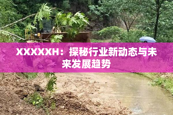 XXXXXH：探秘行业新动态与未来发展趋势