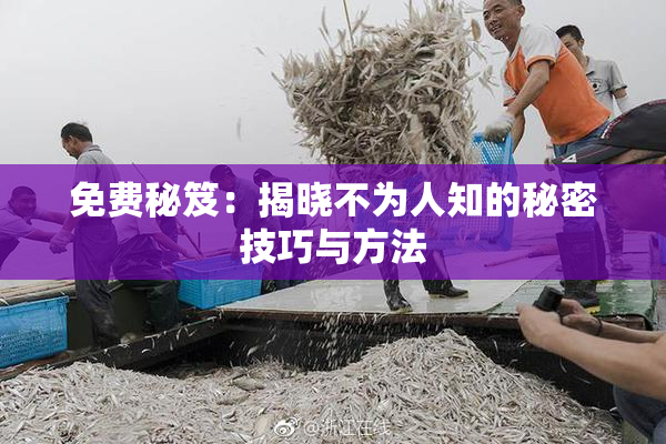 免费秘笈：揭晓不为人知的秘密技巧与方法