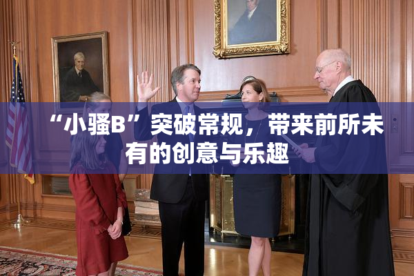 “小骚B”突破常规，带来前所未有的创意与乐趣